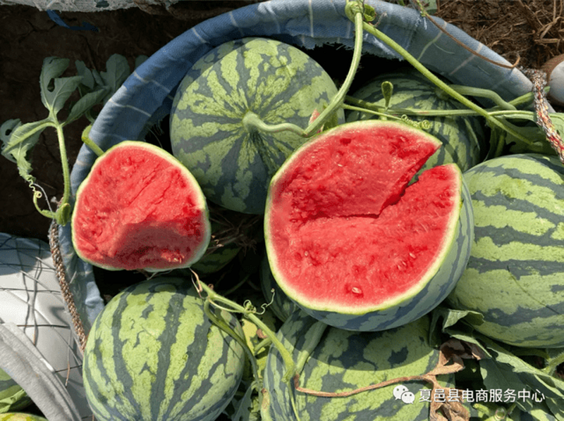淘宝代运营行业动态:助力中小企业电商腾飞